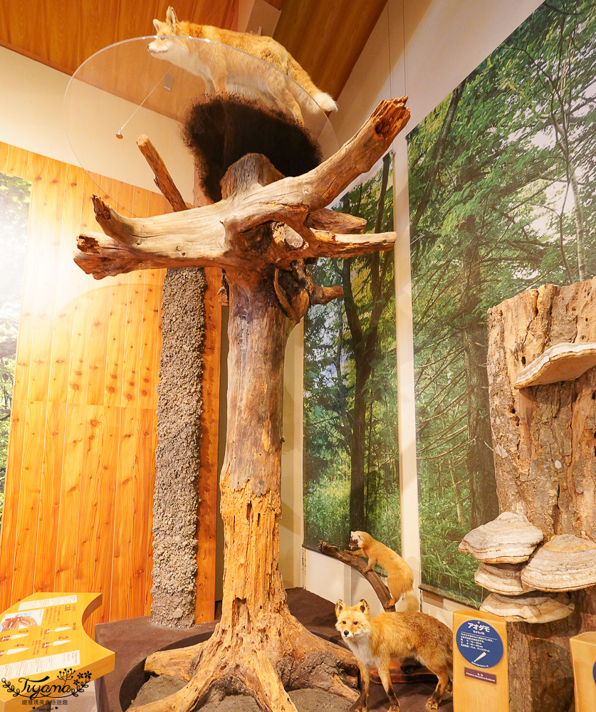 【北海道景點】支笏湖遊客中心｜山線鐵橋｜Patissier Labo｜支笏湖商店街 @緹雅瑪 美食旅遊趣