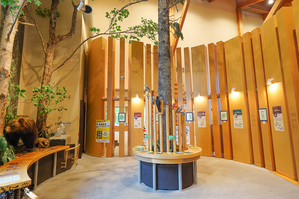 【北海道景點】支笏湖遊客中心｜山線鐵橋｜Patissier Labo｜支笏湖商店街 @緹雅瑪 美食旅遊趣