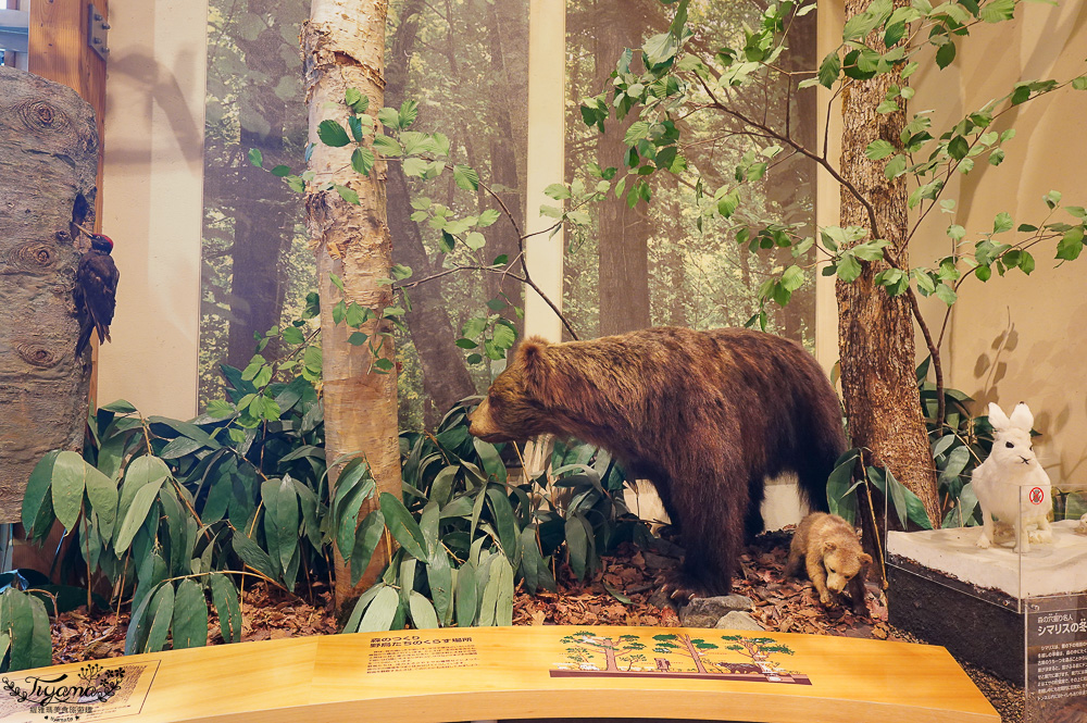 【北海道景點】支笏湖遊客中心｜山線鐵橋｜Patissier Labo｜支笏湖商店街 @緹雅瑪 美食旅遊趣