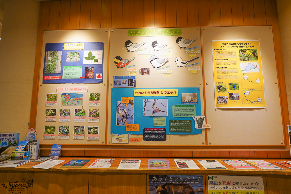 【北海道景點】支笏湖遊客中心｜山線鐵橋｜Patissier Labo｜支笏湖商店街 @緹雅瑪 美食旅遊趣