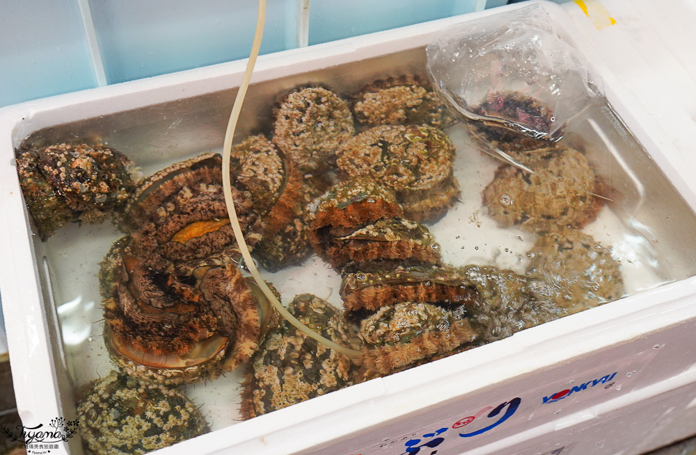 北海道魚市場｜苫小牧漁市場「海之驛Puratto Minato市場．海の駅ぷらっとみなと市場」新鮮海鮮市場、ほっき貝資料館 @緹雅瑪 美食旅遊趣