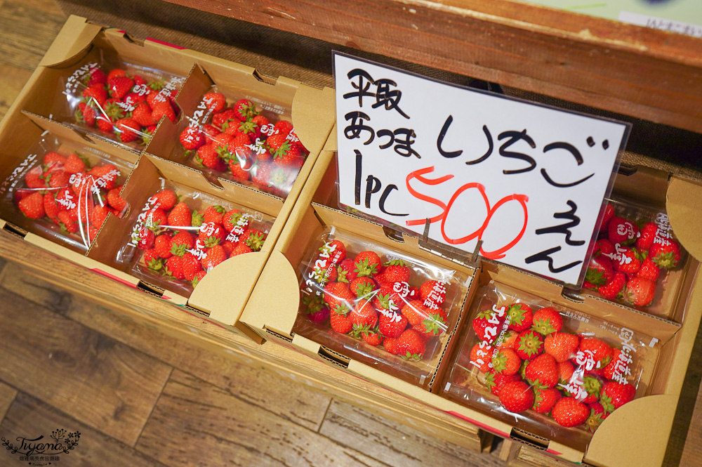 北海道魚市場｜苫小牧漁市場「海之驛Puratto Minato市場．海の駅ぷらっとみなと市場」新鮮海鮮市場、ほっき貝資料館 @緹雅瑪 美食旅遊趣