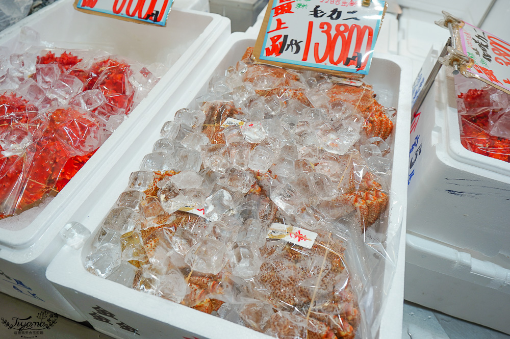 北海道魚市場｜苫小牧漁市場「海之驛Puratto Minato市場．海の駅ぷらっとみなと市場」新鮮海鮮市場、ほっき貝資料館 @緹雅瑪 美食旅遊趣