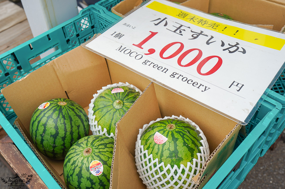 北海道魚市場｜苫小牧漁市場「海之驛Puratto Minato市場．海の駅ぷらっとみなと市場」新鮮海鮮市場、ほっき貝資料館 @緹雅瑪 美食旅遊趣