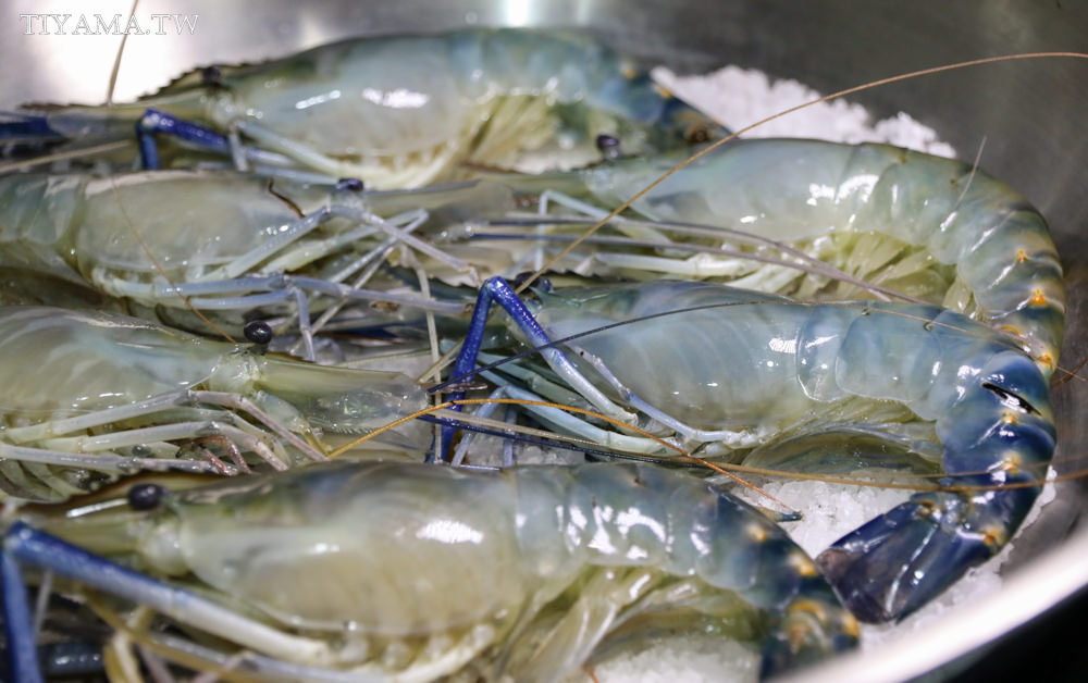 段泰國蝦|全省宅配生鮮：活凍泰國蝦想吃就吃+4道快速方便懶人料理 @緹雅瑪 美食旅遊趣