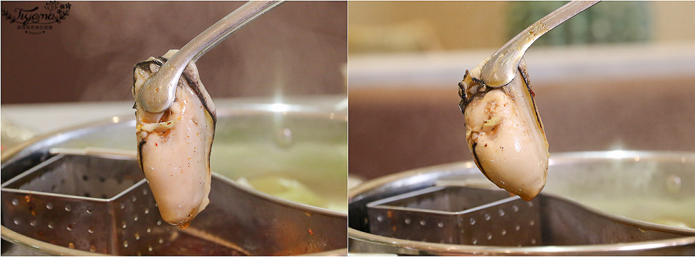 台南火鍋|花花世界鍋物WHATSWORLDresort-火鍋界中的唯一奇葩 @緹雅瑪 美食旅遊趣