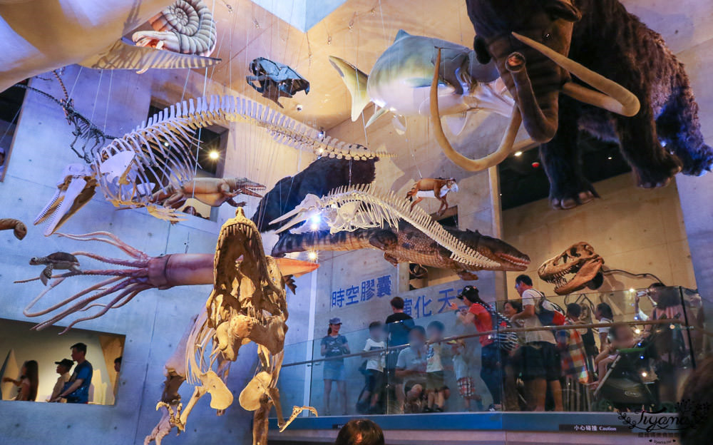 台南景點|臺南左鎮化石園區攻略：如何逛全台第一座化石主題園區最快速！ @緹雅瑪 美食旅遊趣