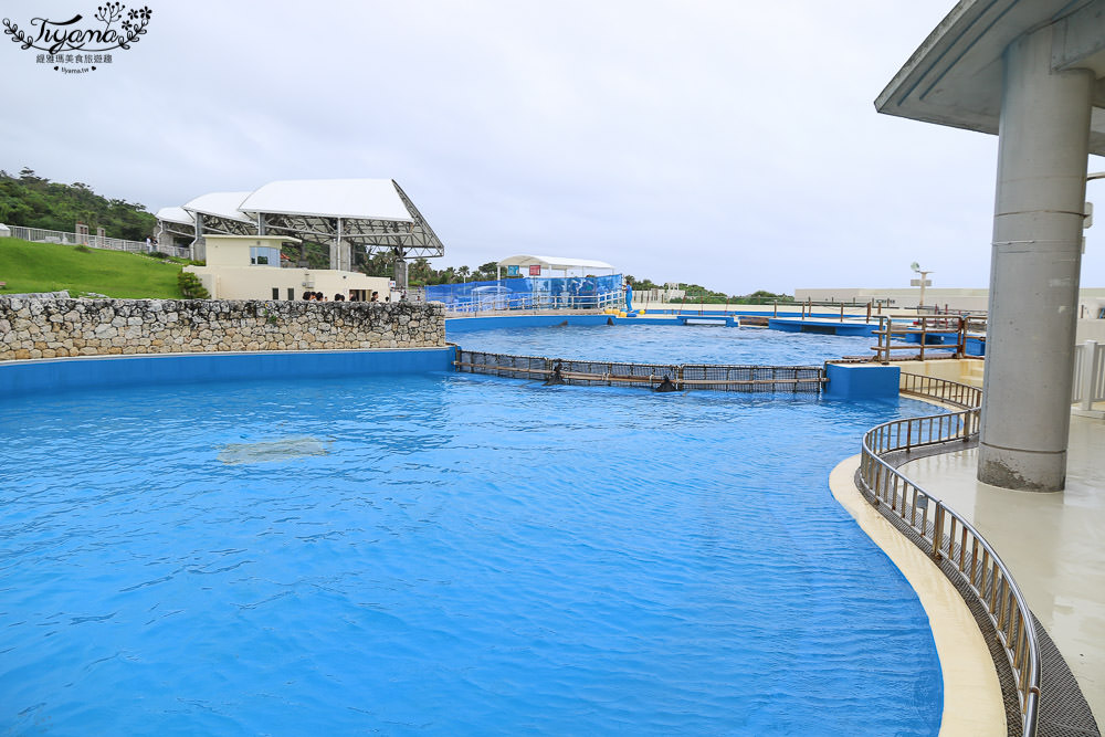 沖繩美麗海水族館：巨大水族箱！黑潮之海鯨鯊.海豚秀，沖繩必遊景點 @緹雅瑪 美食旅遊趣