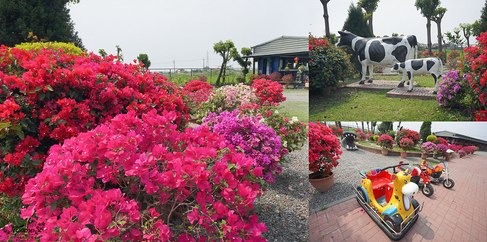 台南柳營景點|八老爺車站 乳牛的家，五分火車、鐵路餐廳、餵動物 @緹雅瑪 美食旅遊趣