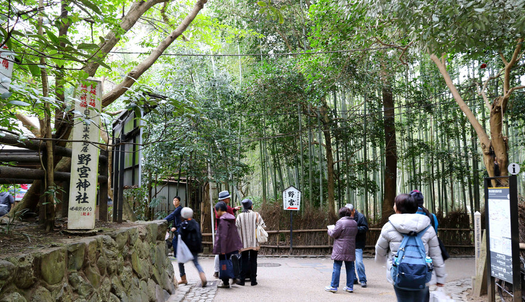 【京都景點】嵯峨野竹林.野宮神社。嵐山必訪 @緹雅瑪 美食旅遊趣